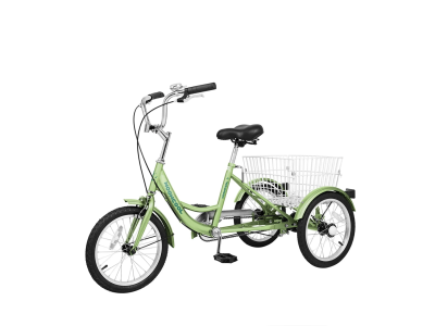 Trike Frame